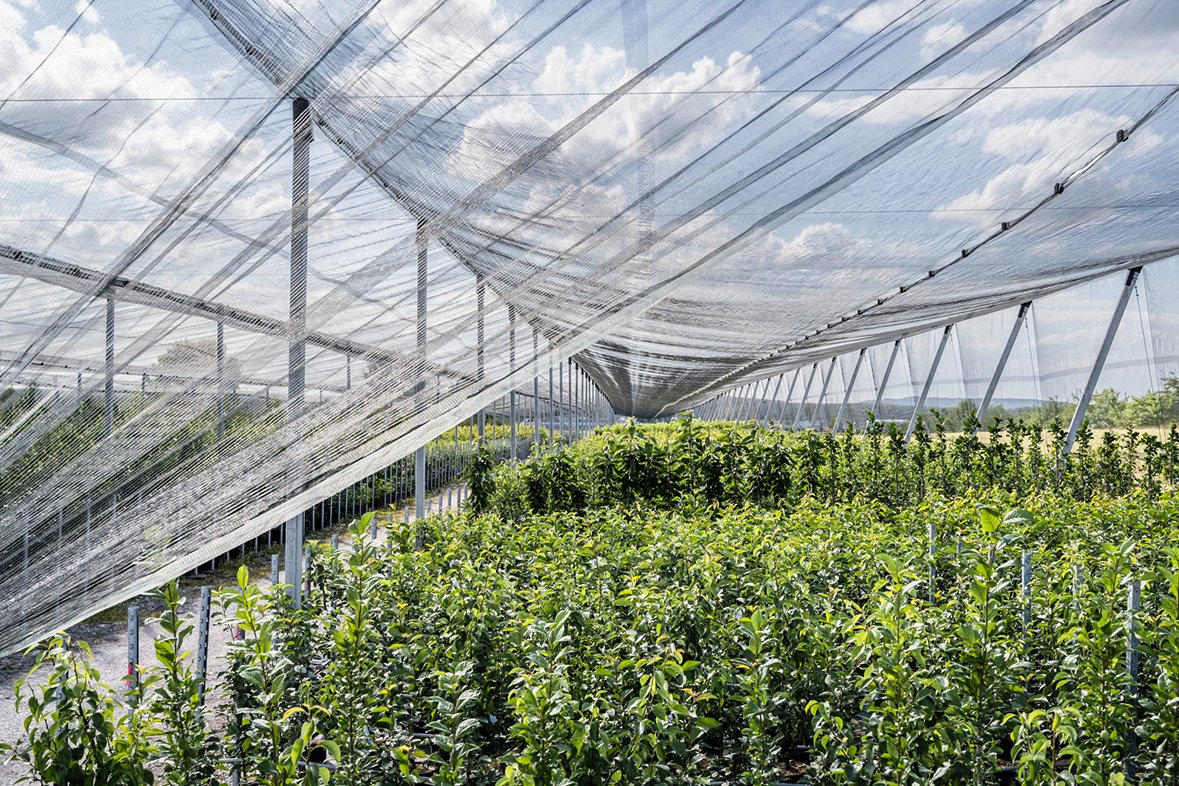 Betrieb Obstbaumschmitt